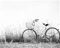 Picture of Leaning Bike  _GroupedProduct_Rectangle_Landscape_Photography _GroupedProduct_Rectangle_Landscape_Unframed_Print_Only_