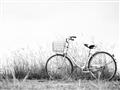 Picture of Leaning Bike  _GroupedProduct_Rectangle_Landscape_Photography _GroupedProduct_Rectangle_Landscape_Unframed_Print_Only_