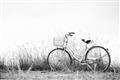 Picture of Leaning Bike  _GroupedProduct_Rectangle_Landscape_Photography _GroupedProduct_Rectangle_Landscape_Unframed_Print_Only_