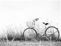 Picture of Leaning Bike  _GroupedProduct_Rectangle_Landscape_Photography _GroupedProduct_Rectangle_Landscape_Unframed_Print_Only_
