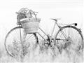 Picture of Field Bike _GroupedProduct_Rectangle_Landscape_Photography _GroupedProduct_Rectangle_Landscape_Unframed_Print_Only_