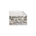 Picture of Horses Running in Water _GroupedProduct_Rectangle_Landscape_Photography _GroupedProduct_Rectangle_Landscape_Unframed_Print_Only_