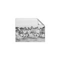 Picture of Horses Running in Water _GroupedProduct_Rectangle_Landscape_Photography _GroupedProduct_Rectangle_Landscape_Unframed_Print_Only_