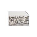 Picture of Horses Running in Water _GroupedProduct_Rectangle_Landscape_Photography _GroupedProduct_Rectangle_Landscape_Unframed_Print_Only_