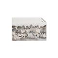 Picture of Horses Running in Water _GroupedProduct_Rectangle_Landscape_Photography _GroupedProduct_Rectangle_Landscape_Unframed_Print_Only_