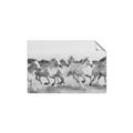 Picture of Horses Running in Water _GroupedProduct_Rectangle_Landscape_Photography _GroupedProduct_Rectangle_Landscape_Unframed_Print_Only_