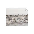 Picture of Horses Running in Water _GroupedProduct_Rectangle_Landscape_Photography _GroupedProduct_Rectangle_Landscape_Unframed_Print_Only_