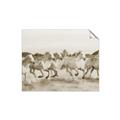 Picture of Horses Running in Water _GroupedProduct_Rectangle_Landscape_Photography _GroupedProduct_Rectangle_Landscape_Unframed_Print_Only_