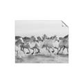 Picture of Horses Running in Water _GroupedProduct_Rectangle_Landscape_Photography _GroupedProduct_Rectangle_Landscape_Unframed_Print_Only_