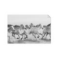 Picture of Horses Running in Water _GroupedProduct_Rectangle_Landscape_Photography _GroupedProduct_Rectangle_Landscape_Unframed_Print_Only_