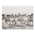 Picture of Horses Running in Water _GroupedProduct_Rectangle_Landscape_Photography _GroupedProduct_Rectangle_Landscape_Unframed_Print_Only_
