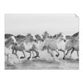 Picture of Horses Running in Water _GroupedProduct_Rectangle_Landscape_Photography _GroupedProduct_Rectangle_Landscape_Unframed_Print_Only_