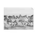 Picture of Horses Running in Water _GroupedProduct_Rectangle_Landscape_Photography _GroupedProduct_Rectangle_Landscape_Unframed_Print_Only_