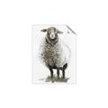 Picture of Watercolour Sheep  _GroupedProduct_Rectangle_Portrait_Unframed_Print_Only_