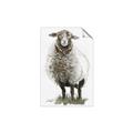Picture of Watercolour Sheep  _GroupedProduct_Rectangle_Portrait_Unframed_Print_Only_