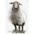 Picture of Watercolour Sheep  _GroupedProduct_Rectangle_Portrait_Unframed_Print_Only_