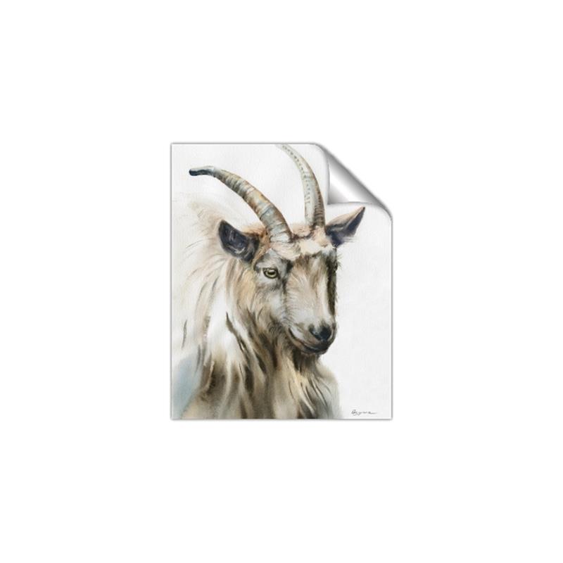 Picture of Watercolour Ram  _GroupedProduct_Rectangle_Portrait_Unframed_Print_Only_