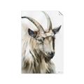 Picture of Watercolour Ram  _GroupedProduct_Rectangle_Portrait_Unframed_Print_Only_