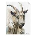 Picture of Watercolour Ram  _GroupedProduct_Rectangle_Portrait_Unframed_Print_Only_