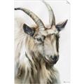 Picture of Watercolour Ram  _GroupedProduct_Rectangle_Portrait_Unframed_Print_Only_