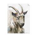 Picture of Watercolour Ram  _GroupedProduct_Rectangle_Portrait_Unframed_Print_Only_