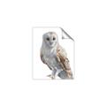 Picture of Watercolour Owl  _GroupedProduct_Rectangle_Portrait_Unframed_Print_Only_