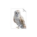 Picture of Watercolour Owl  _GroupedProduct_Rectangle_Portrait_Unframed_Print_Only_