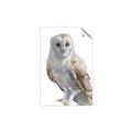 Picture of Watercolour Owl  _GroupedProduct_Rectangle_Portrait_Unframed_Print_Only_