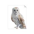 Picture of Watercolour Owl  _GroupedProduct_Rectangle_Portrait_Unframed_Print_Only_