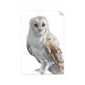Picture of Watercolour Owl  _GroupedProduct_Rectangle_Portrait_Unframed_Print_Only_