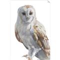 Picture of Watercolour Owl  _GroupedProduct_Rectangle_Portrait_Unframed_Print_Only_