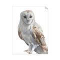 Picture of Watercolour Owl  _GroupedProduct_Rectangle_Portrait_Unframed_Print_Only_