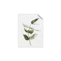 Picture of Green Leaves I  _GroupedProduct_Rectangle_Portrait_Unframed_Print_Only_