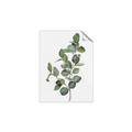 Picture of Green Leaves II  _GroupedProduct_Rectangle_Portrait_Unframed_Print_Only_