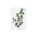 Picture of Green Leaves II  _GroupedProduct_Rectangle_Portrait_Unframed_Print_Only_