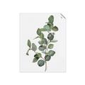 Picture of Green Leaves II  _GroupedProduct_Rectangle_Portrait_Unframed_Print_Only_
