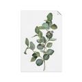 Picture of Green Leaves II  _GroupedProduct_Rectangle_Portrait_Unframed_Print_Only_