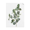 Picture of Green Leaves II  _GroupedProduct_Rectangle_Portrait_Unframed_Print_Only_