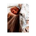 Picture of Brown & black Cattle _GroupedProduct_Rectangle_Portrait_Photography _GroupedProduct_Rectangle_Portrait_Unframed_Print_Only_