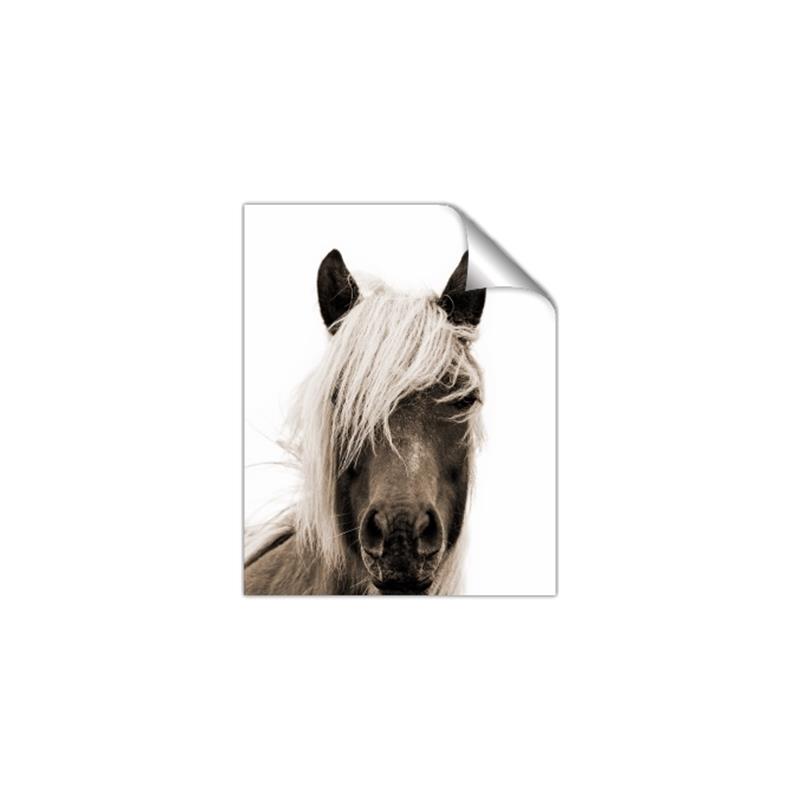 Picture of Looking at you Sepia _GroupedProduct_Rectangle_Portrait_Photography _GroupedProduct_Rectangle_Portrait_Unframed_Print_Only_