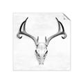Picture of Cranial Bone ll   _GroupedProduct_Square_Unframed_Print_Only_