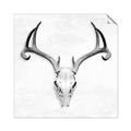 Picture of Cranial Bone ll   _GroupedProduct_Square_Unframed_Print_Only_