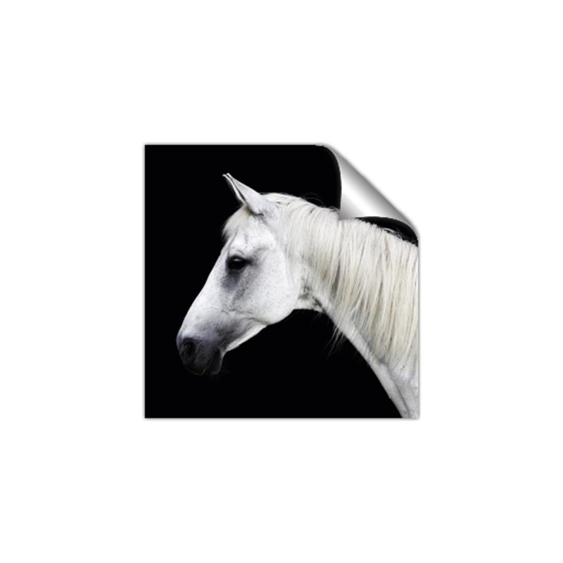 Picture of Side Profile _GroupedProduct_Square_Photography _GroupedProduct_Square_Unframed_Print_Only_