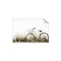 Picture of Leaning Bike  _GroupedProduct_Rectangle_Landscape_Photography _GroupedProduct_Rectangle_Landscape_Unframed_Print_Only_