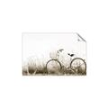 Picture of Leaning Bike  _GroupedProduct_Rectangle_Landscape_Photography _GroupedProduct_Rectangle_Landscape_Unframed_Print_Only_
