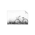 Picture of Leaning Bike  _GroupedProduct_Rectangle_Landscape_Photography _GroupedProduct_Rectangle_Landscape_Unframed_Print_Only_