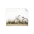 Picture of Leaning Bike  _GroupedProduct_Rectangle_Landscape_Photography _GroupedProduct_Rectangle_Landscape_Unframed_Print_Only_