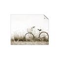 Picture of Leaning Bike  _GroupedProduct_Rectangle_Landscape_Photography _GroupedProduct_Rectangle_Landscape_Unframed_Print_Only_