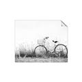 Picture of Leaning Bike  _GroupedProduct_Rectangle_Landscape_Photography _GroupedProduct_Rectangle_Landscape_Unframed_Print_Only_