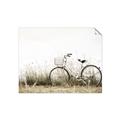 Picture of Leaning Bike  _GroupedProduct_Rectangle_Landscape_Photography _GroupedProduct_Rectangle_Landscape_Unframed_Print_Only_